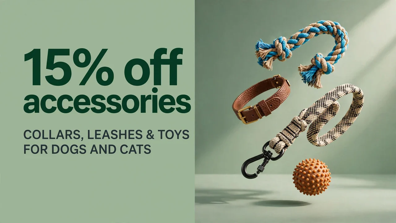 Pet accessories offer